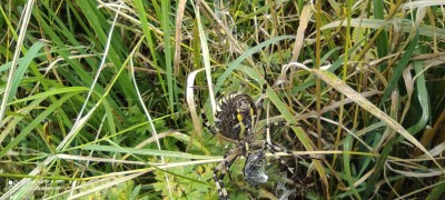 IMG_20210828_120114.jpg