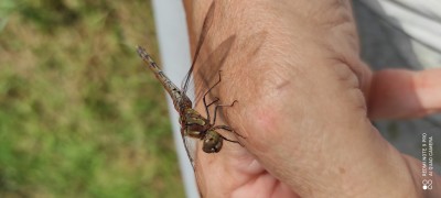 IMG_20210916_154229.jpg