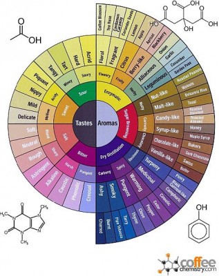 tastewheel.jpg