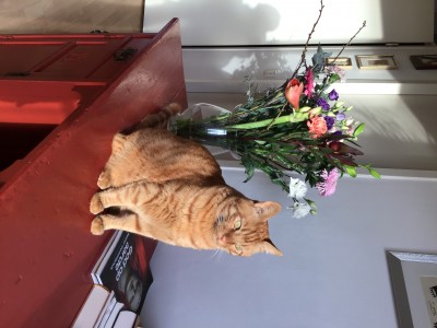 IMG_1154.jpeg