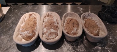 IMG_20220915_200256.jpg