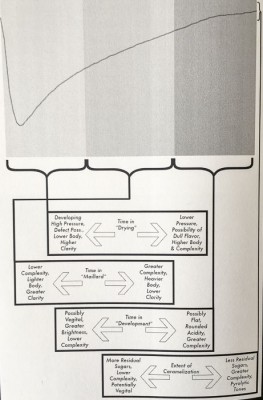 rob-hoos-modulating-phases.jpg