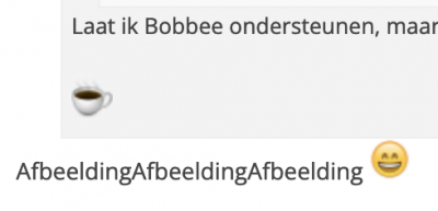 Scherm­afbeelding 2023-07-21 om 11.23.44.png