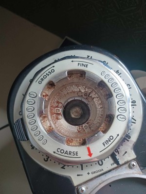 428327388_1499773507251370_1511975664471168266_n.jpg