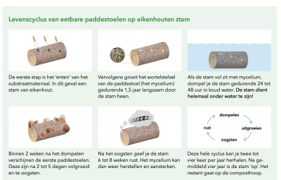 Scherm­afbeelding 2024-05-13 om 14.59.43.png