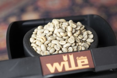 wile200small-01-L1050122-190609.jpg