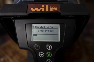 wile200small-16-L1050145-190609.jpg