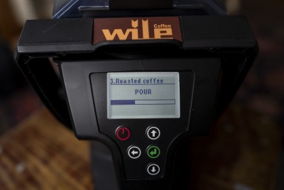wile200small-17-L1050147-190609.jpg