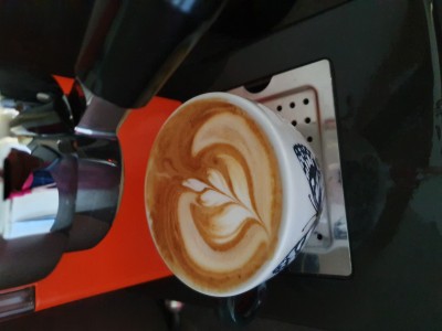 20191016_103131.jpg