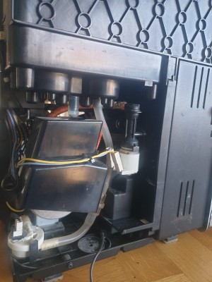 WhatsApp Image 2020-01-16 1.jpeg